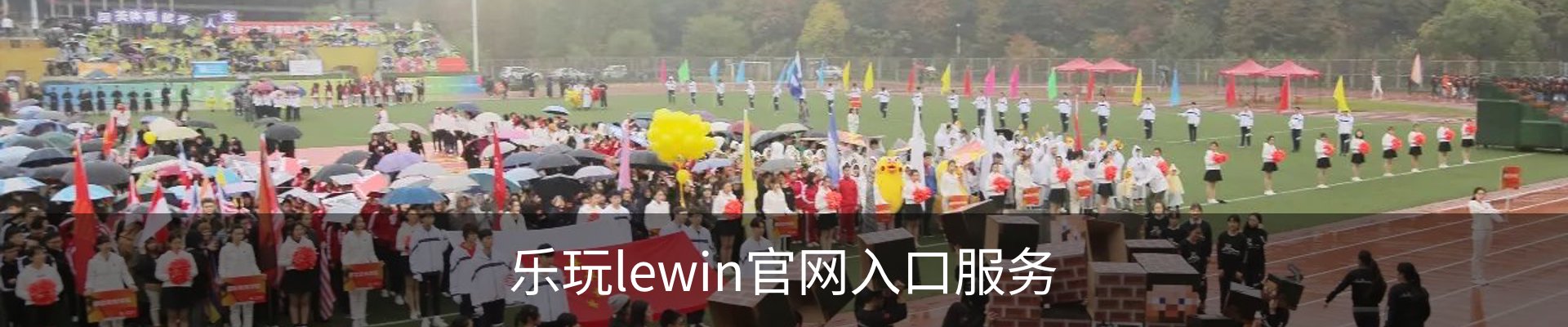 乐玩lewin官网入口服务